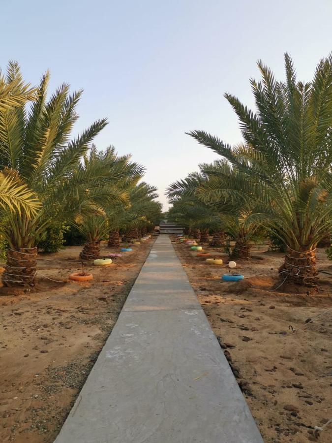 Almazham Camp Resort Al-ʿUla Exterior photo