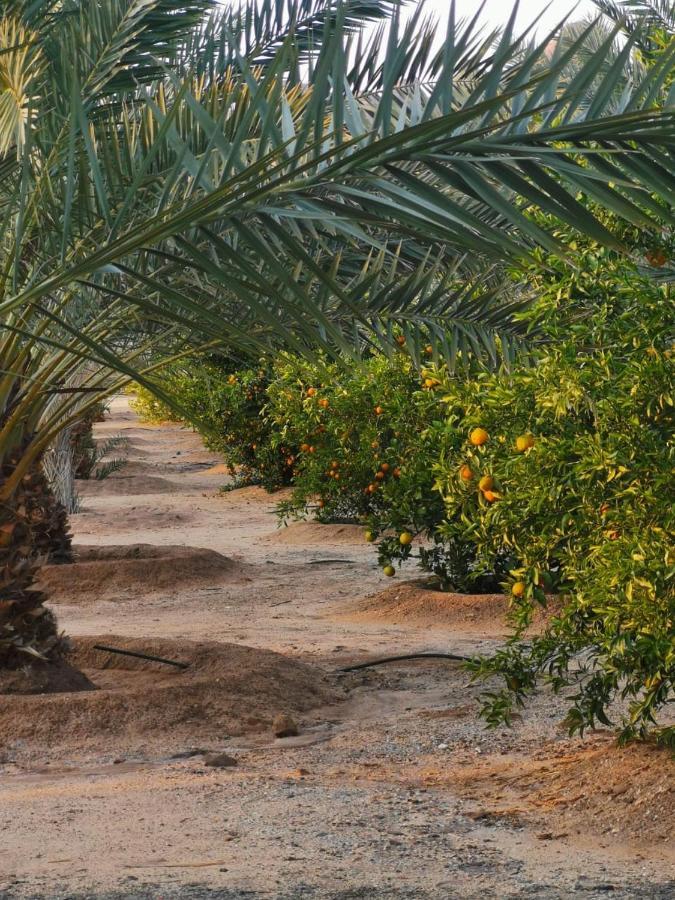Almazham Camp Resort Al-ʿUla Exterior photo