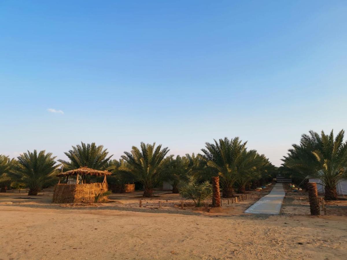 Almazham Camp Resort Al-ʿUla Exterior photo